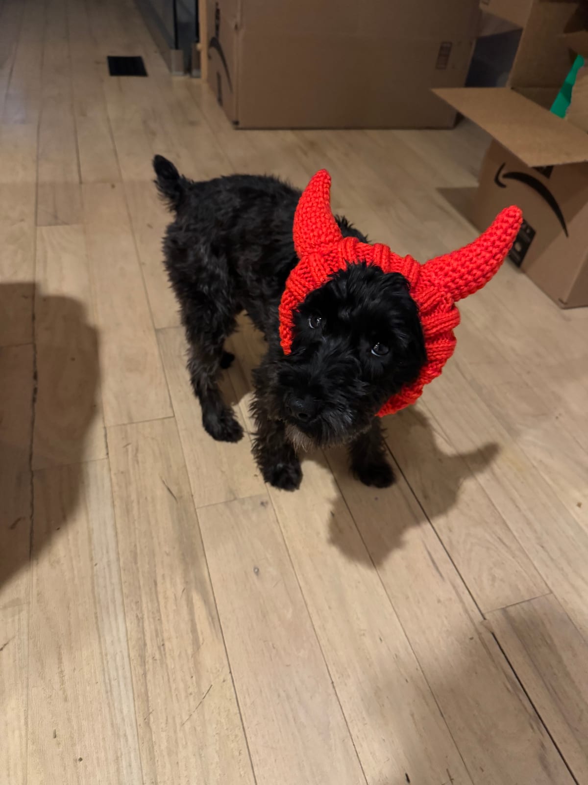 Butters wearing a red knitted devil-horn hat